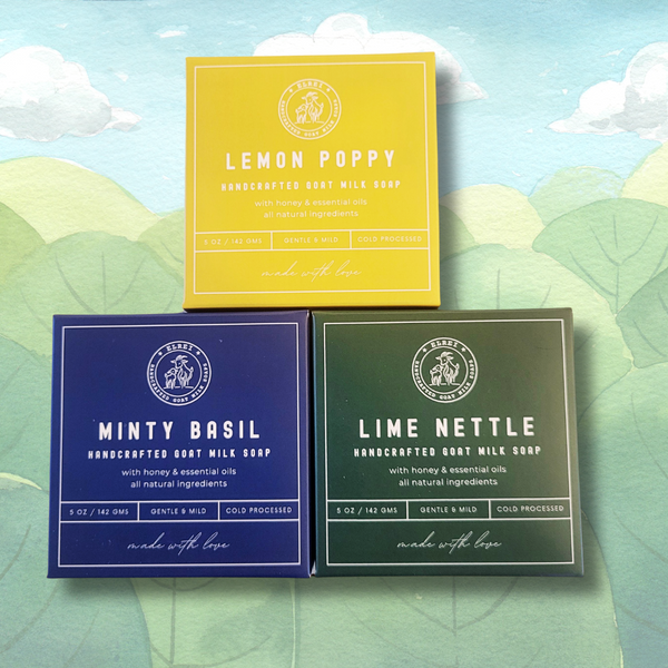 3 Bars Variety Bundle