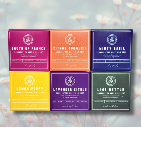 6 Bars Variety Bundle